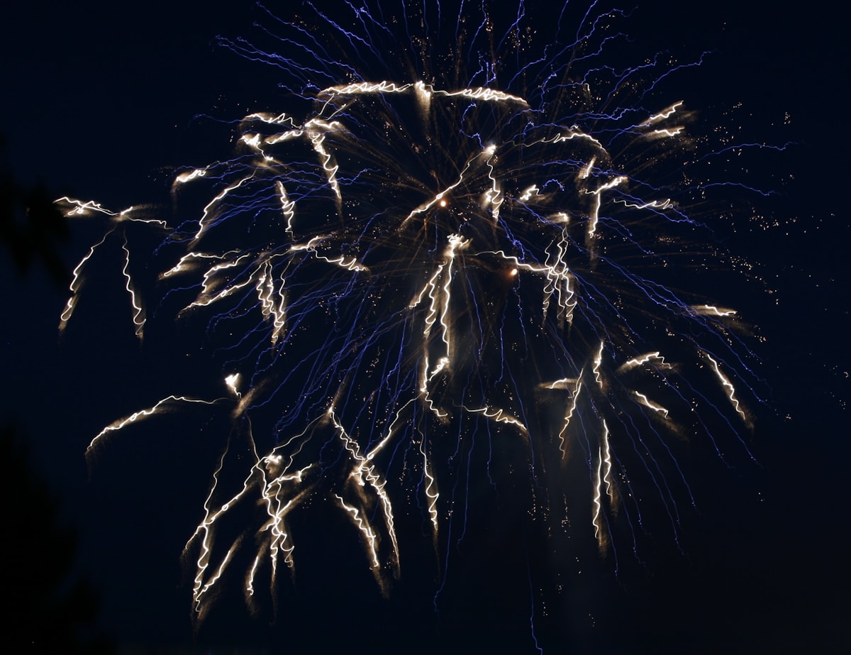 花火大会の夜、公園から見上げる。関東の穴場ビュースポット5選【2026年夏】のアイキャッチ画像
