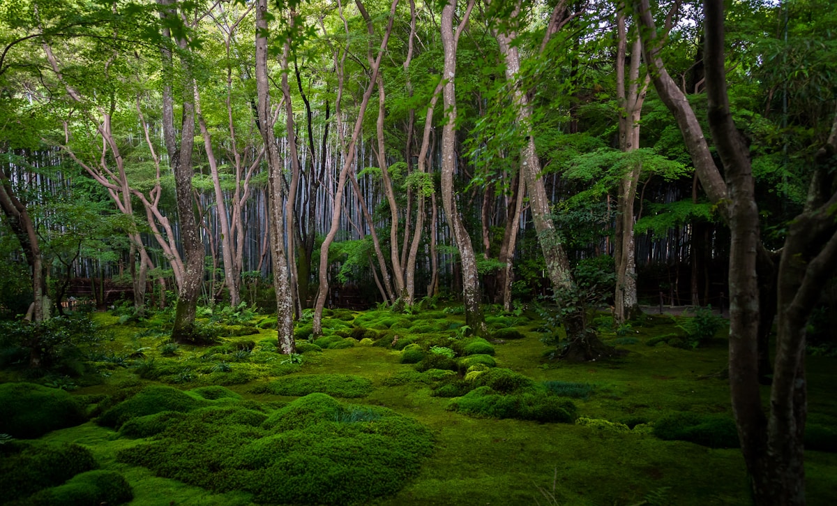 5月でも30℃超え。木陰と水辺で涼める都内の公園・緑地7選のアイキャッチ画像