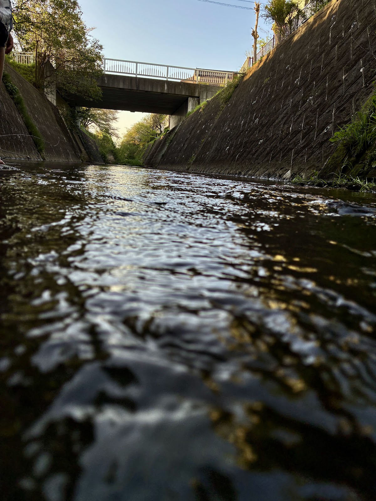 親水広場の画像