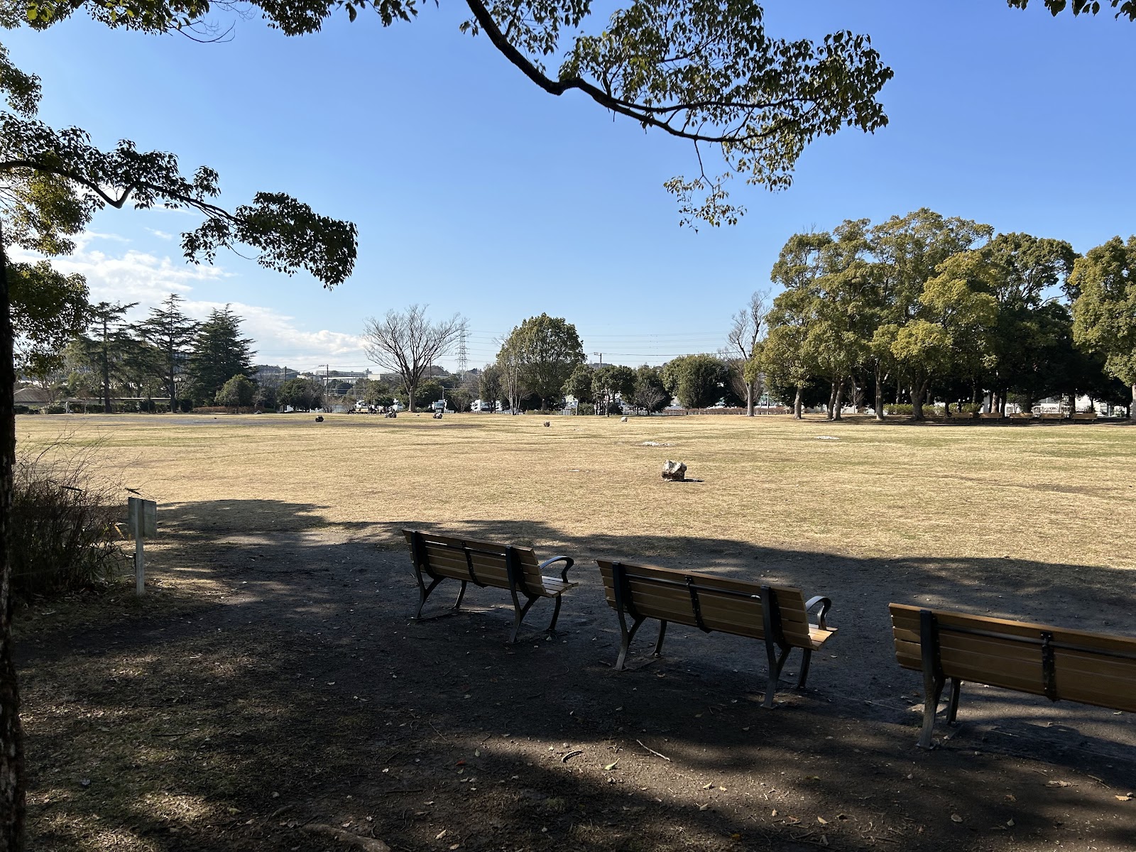 金井公園の画像