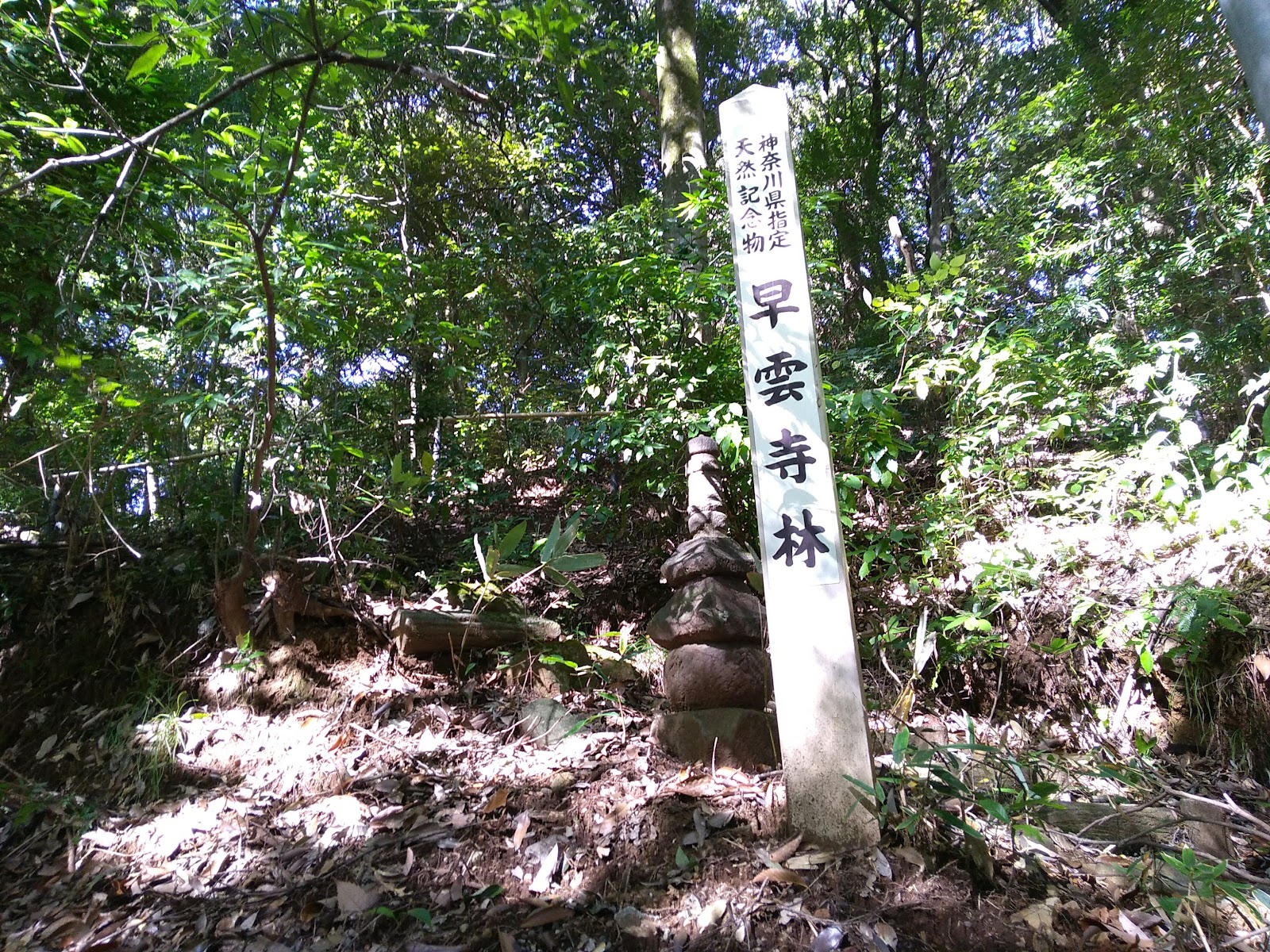 早雲公園の画像