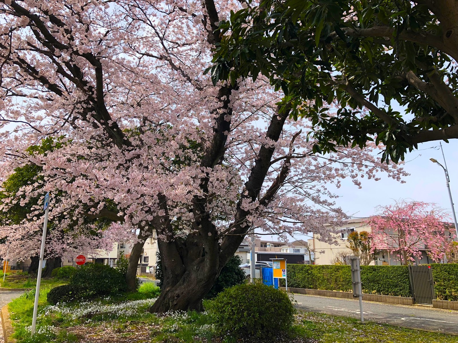 花園第二グリーンベルトの画像