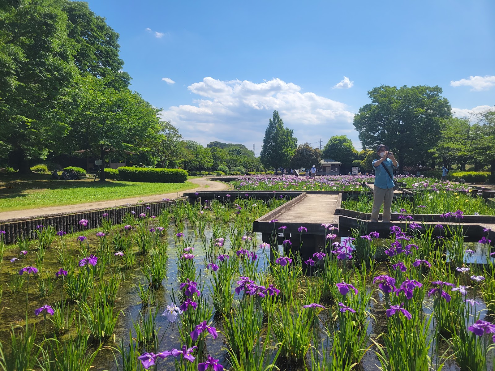 山崎公園の画像
