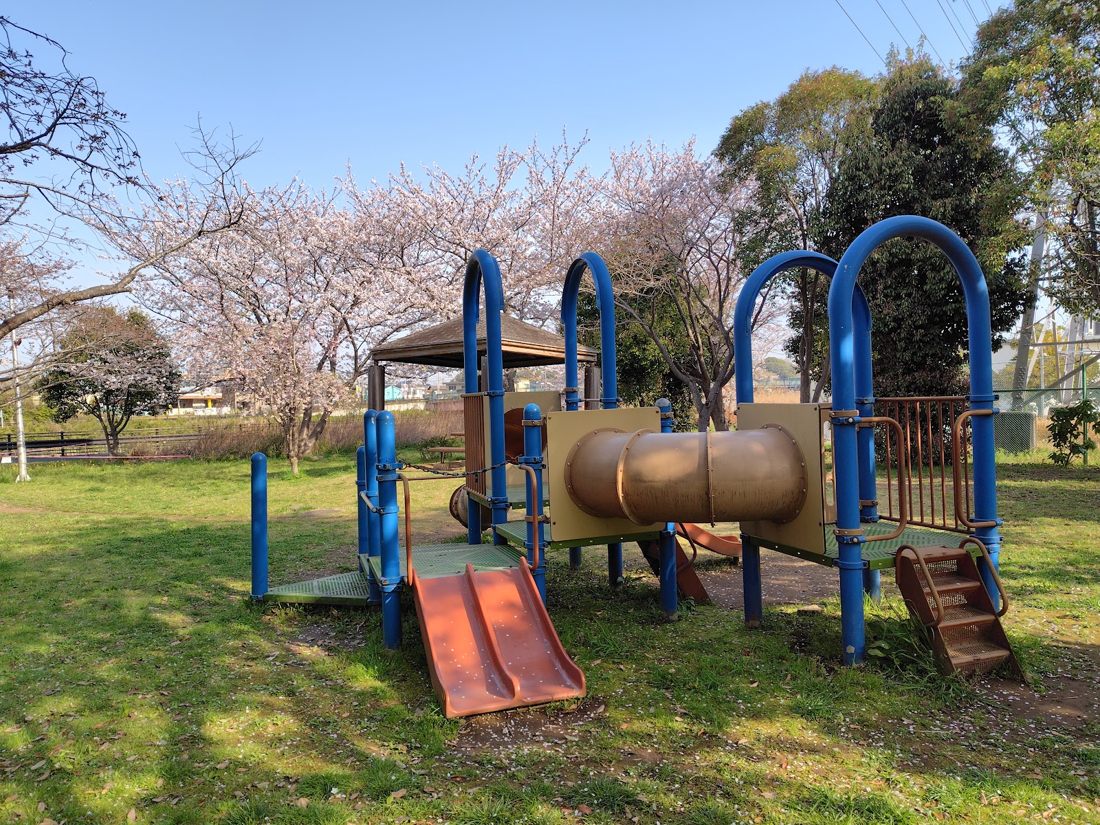 黄色公園の画像