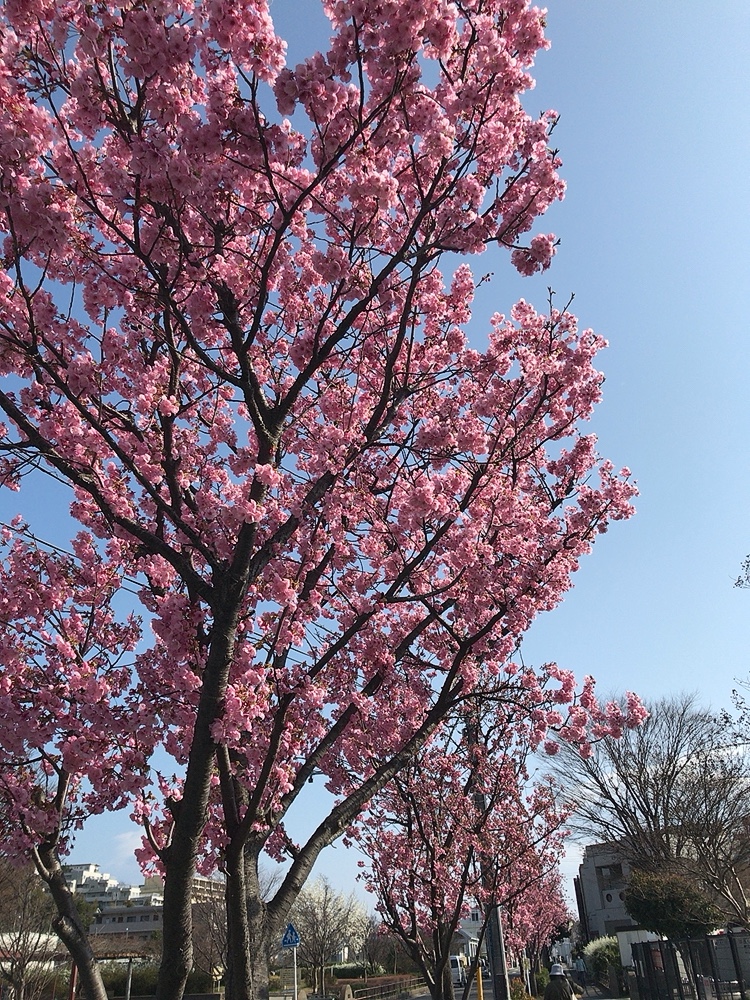 港南ふれあい公園の画像