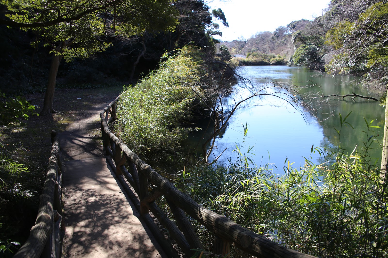 久木大池公園の画像