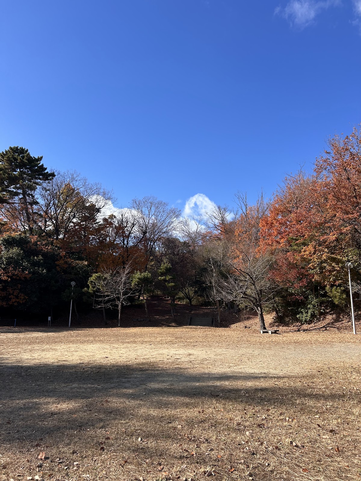 香里ケ丘南公園の画像