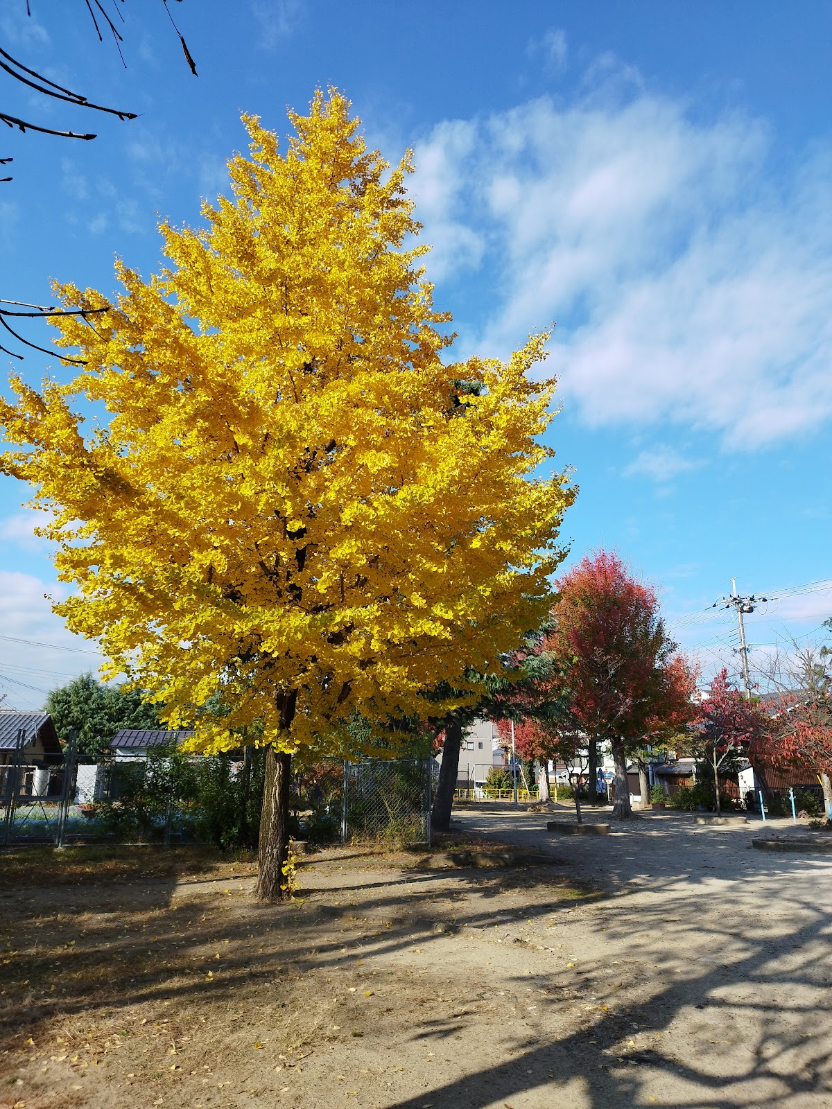 稚松公園の画像